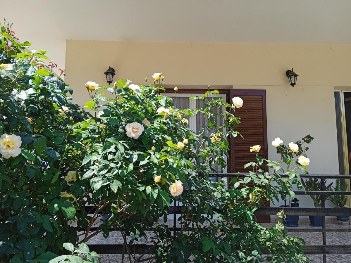 Serene Country House Nafplio Eksteriør billede