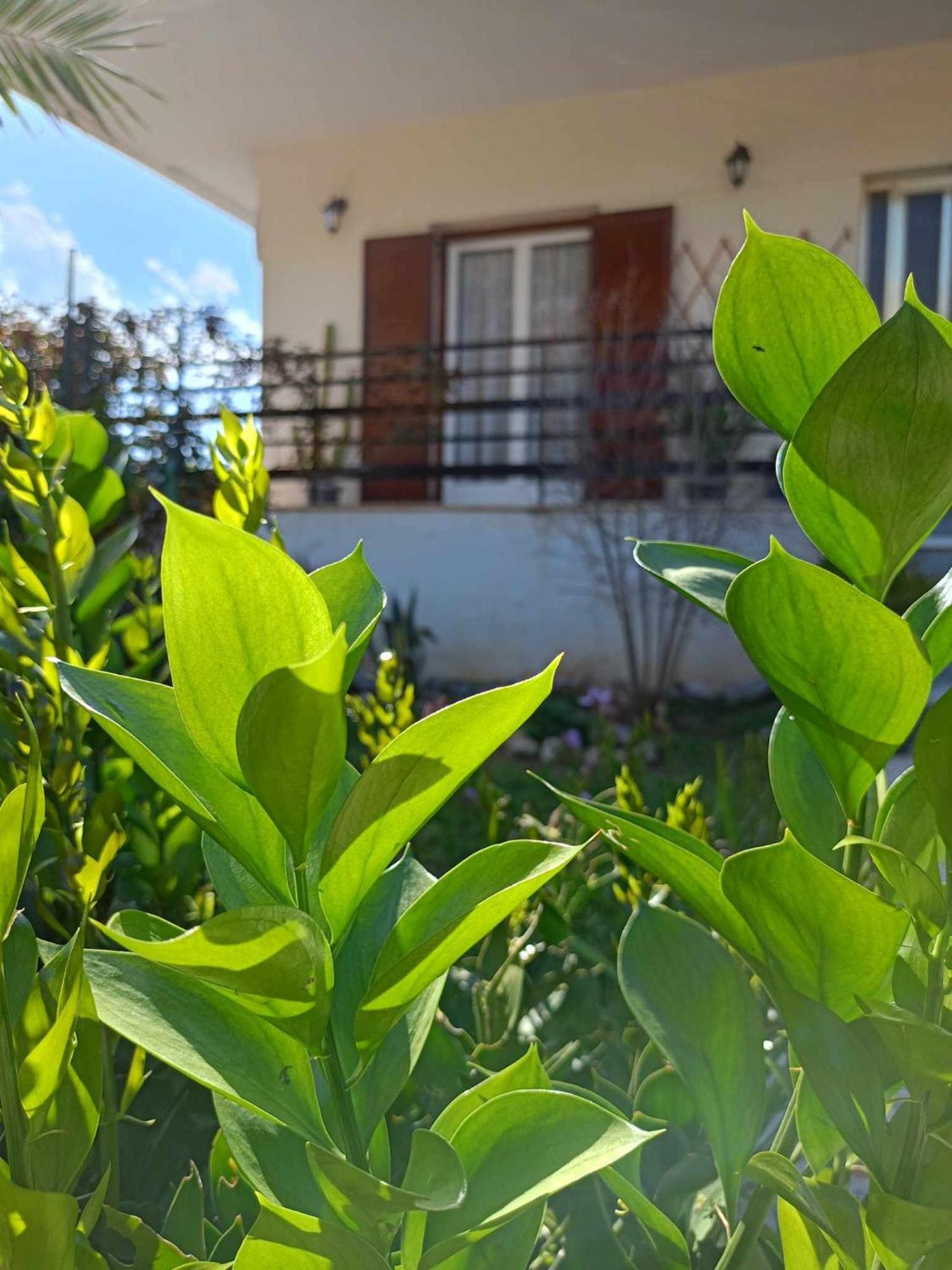 Serene Country House Nafplio Eksteriør billede